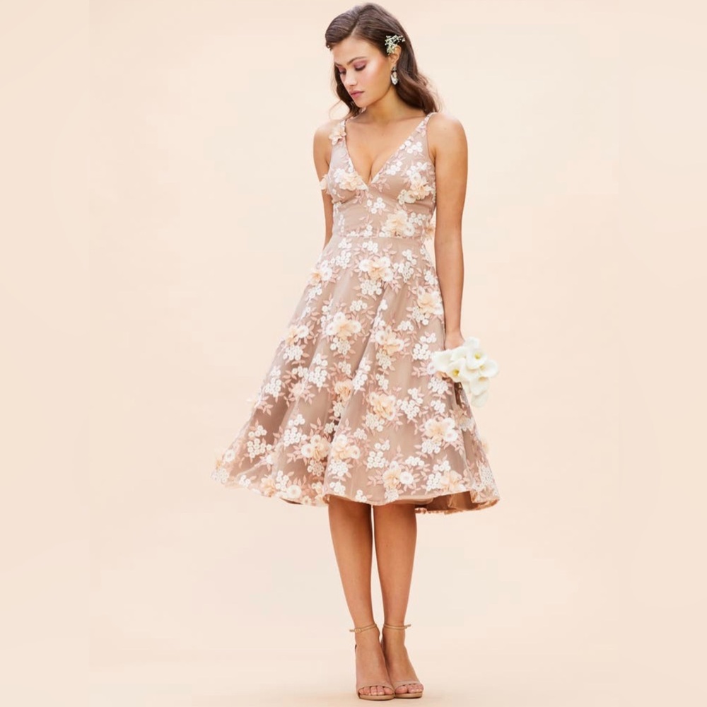 Dress The Population Elisa Floral Appliqué Dress